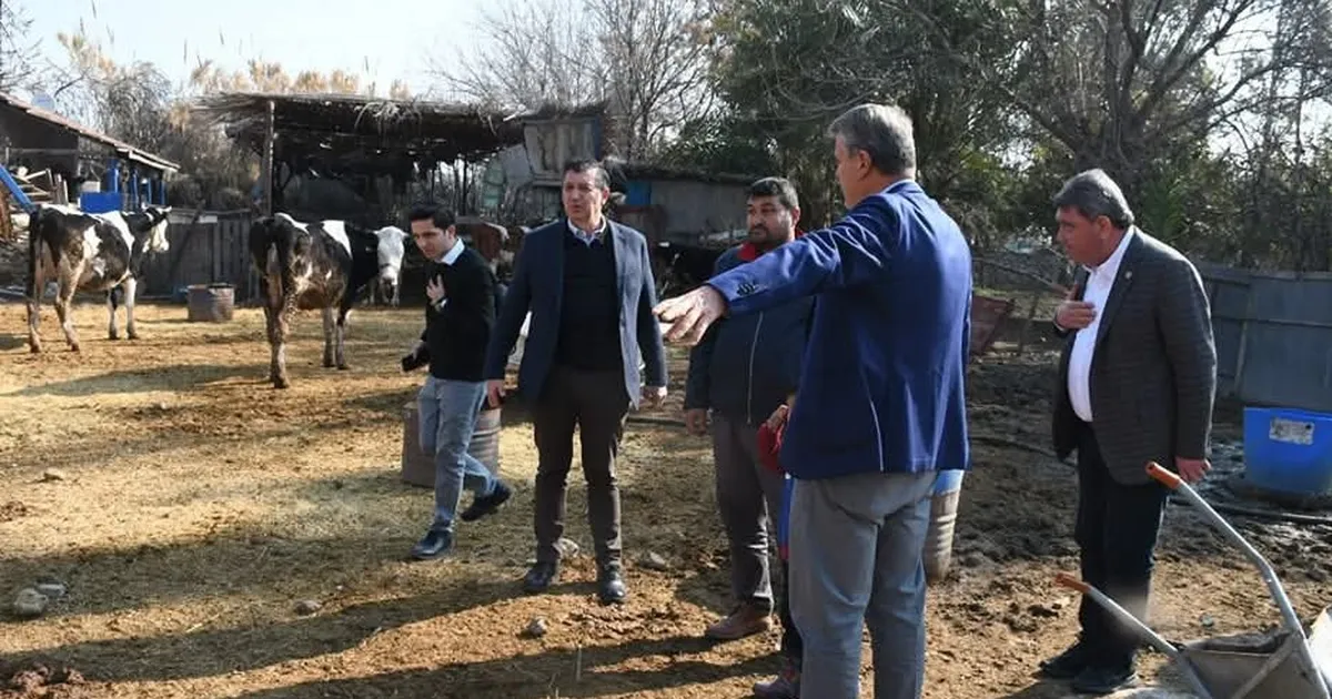 CHP’li Gaytancıoğlu’ndan et ithalatına sert tenkit